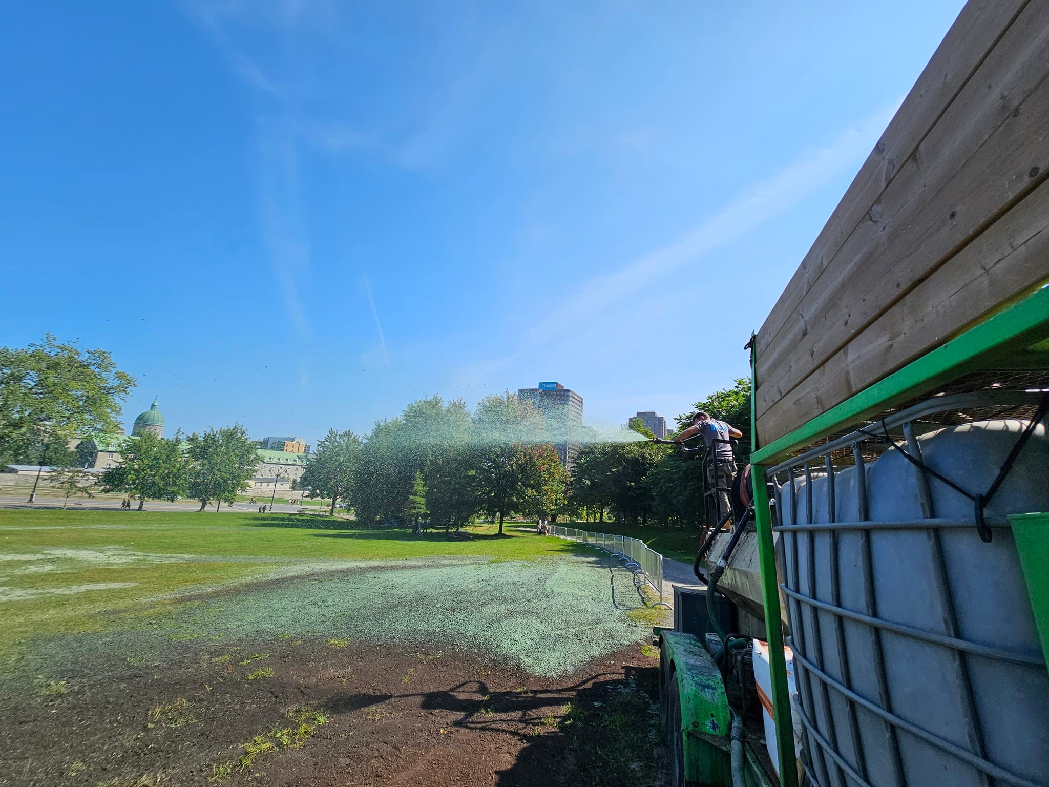 Terrain en pente recouvert de végétation verte sur un talus résidentiel  à Mille-Isles